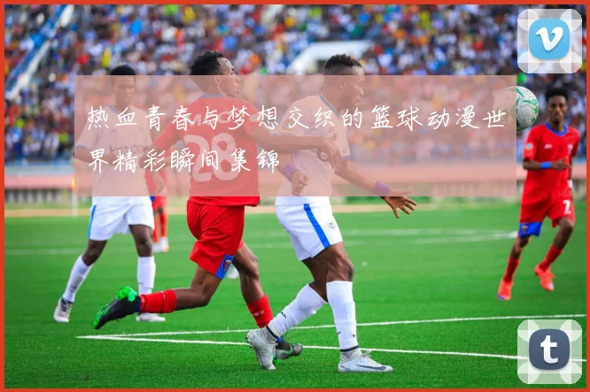 热血青春与梦想交织的篮球动漫世界精彩瞬间集锦