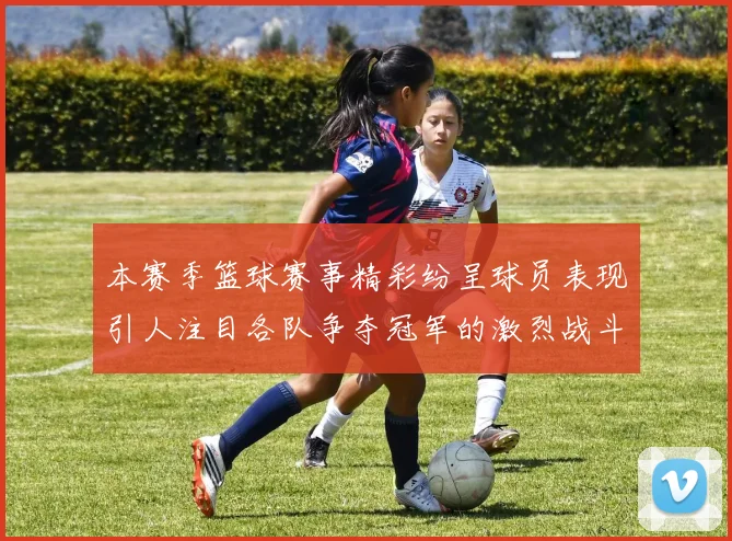 本赛季篮球赛事精彩纷呈球员表现引人注目各队争夺冠军的激烈战斗