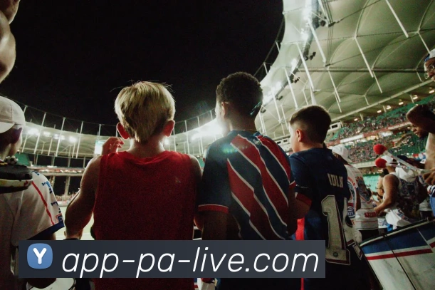 pa视讯服务体系